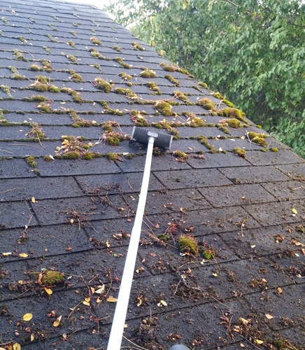 Roof-Cleaning-Auburn-WA