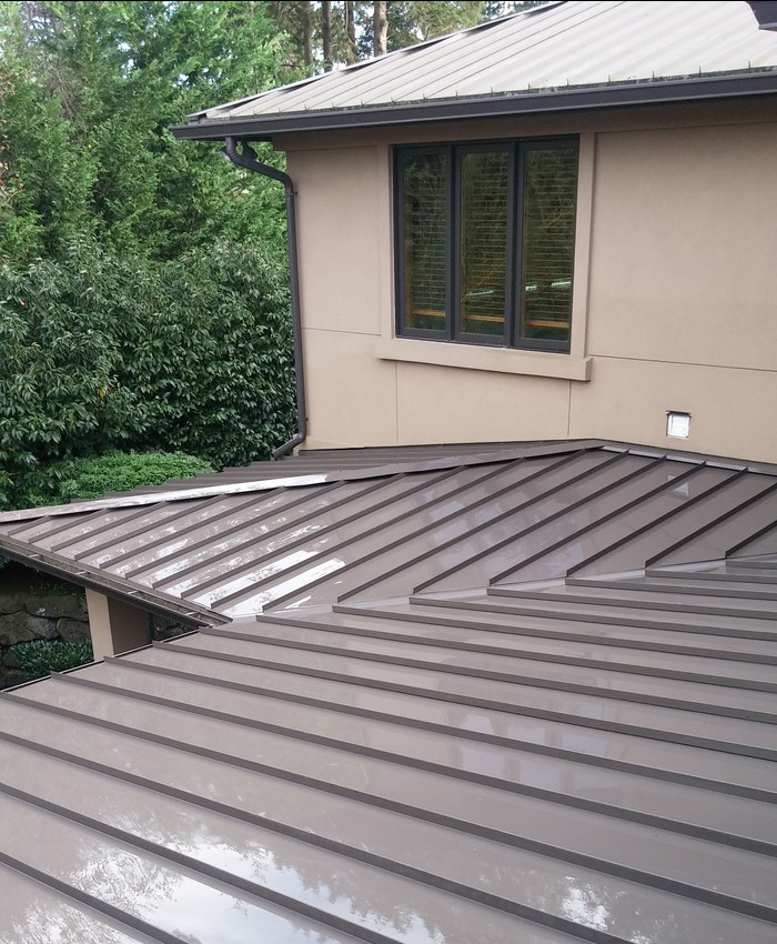 Roof-Cleaning-Services-Auburn-WA